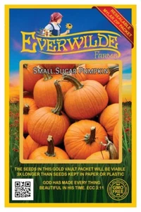 40 Small Sugar Pumpkin Seeds - Everwilde Farms Mylar Seed Packet - Picture 1 of 3