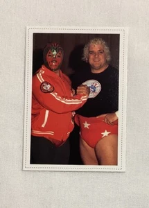 Tarjeta de novato Dusty Rhodes & Mil Mascaras RC 1981 GONG JAPÓN - Imagen 1 de 2