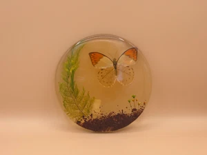 De colección MCM 1969 Lucite Acrílico Remache Patas Plato Caliente Mariposa Prado Flor 6.5" - Imagen 1 de 5