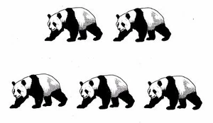 LOTE DE 5 OSOS PANDA tatuajes temporales - Imagen 1 de 1