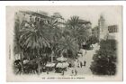 CPA-Carte postale-Algérie-Alger- Les palmiers de la Régence VM16531