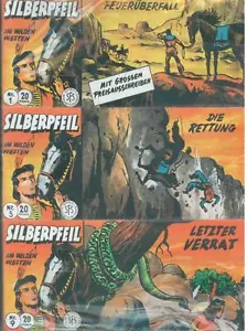 Silberpfeil Piccolo 1-171 (Z0), Dargatz - Picture 1 of 1