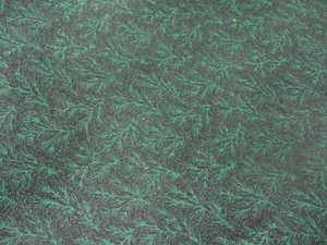 MARCUS BROS TEXTILES CHRISTMAS GREEN & BLACK EVERGREEN BRANCHES FABRIC 3 YARDS - Picture 1 of 2