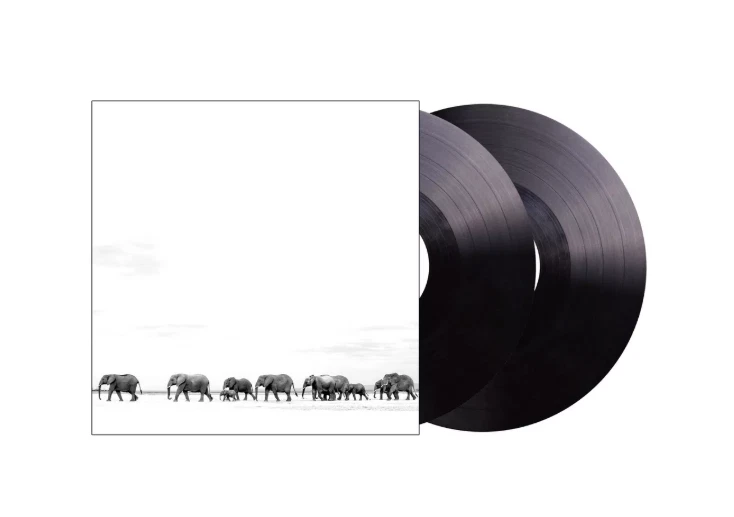 Dave Matthews - Where Are You Going: The Singles (Black Vinyl 2 LP) NEW !!! - Image 1 of 1