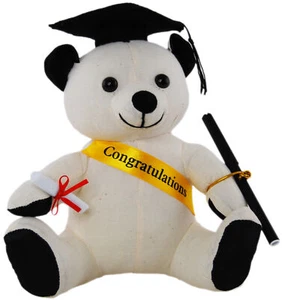 Congratulations Autograph Bear With Pen 22cm Graduation Signature Message Gift - Picture 1 of 8