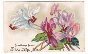 antike Postkarte / Knox City, MIssouri Mo. / Gruß / 1908 Stempel - Bild 1 von 2