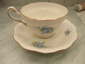 Vtg ROYAL STANDARD FINE BONE CHINA ENGLAND CUP & SAUCER -BLUE FLOWERS Gold Trim - Picture 1 of 10