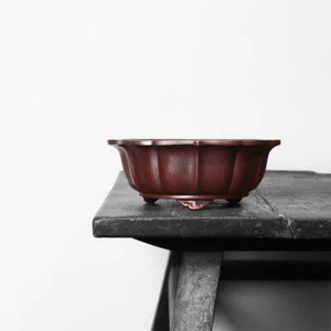 Maceta bonsai con flores en maceta Zisha Handmate de 8,8 pulgadas clásica china - Imagen 1 de 12