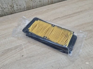 Filtro de aire SYM GTS / Joyride 125 100602691 - Imagen 1 de 1
