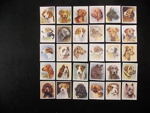 Godfrey Phillips Cigarette Cards Our Dogs 1939 Complete Set 36 - Picture 1 of 2