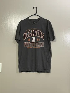 T-shirt manica corta Illinois Fighting Illini grigia Urbana Champaign grande C38 �� - Foto 1 di 7