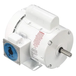 LEESON 112431.00 Motor,1/2 HP,1725,56,115/208-230V 48ZF23 - Picture 1 of 1