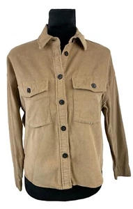 Nuevo con etiquetas Top Bershka Marrón Pana Dolman Manga Abotonada Talla XS 100% Algodón - Imagen 1 de 9