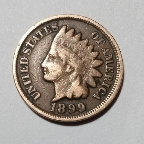 1899 indian head penny Cover
