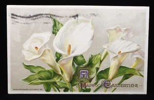 Vintage 1911 Happy Eastertide Calla Lily Flowers Gilt Embossed Postcard ~ Winsch - Picture 1 of 4