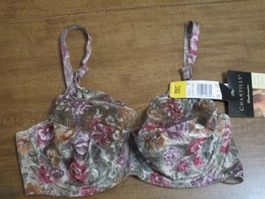 MAIDENFORM CHANTILLY UNDERWIRE BRA FLORAL 38C - Picture 1 of 5