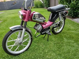 Zündapp ZD40 Typ. 446-45 Bj: 1977 3 Gang-Handschaltung - Bild 1 von 15