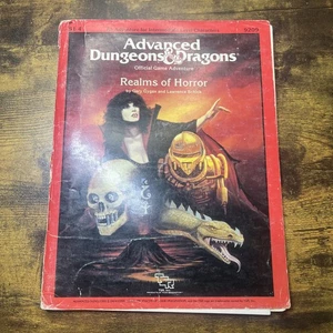 TSR AD&D 1. Edition Realms of Horror sehr guter Zustand + Dungeons & Dragons - Bild 1 von 7