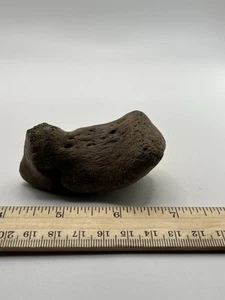 Mammut Zehen Fuß Knochen Eiszeit 12000 Jahre alt Sibirien T5 3” x 2” - Bild 1 von 5