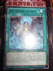 YU-GI-OH! RARE FRANCAIS EXPANSION DU VIDE SECE-FR058 MINT NEUF EDITION 1 - Bild 1 von 1