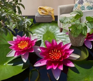 3D Pink Lotus 31RAIN53 Floor WallPaper Murals Wall Print Decal AJ Honey - Picture 1 of 6