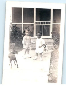 Vintage Photo 1940s, 2 Toddlers playing w/ Dogs on Front Yard , 3.5 x 2.5 - Picture 1 of 2