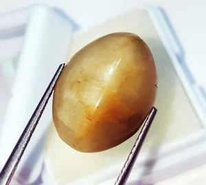 100% Natural Cat's Eye 12.75 Ct Oval Shape Loose Gemstone With Certificate - Picture 1 of 6