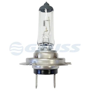 2 x Halogenlampe H7 12V 55W C1 PX26d – Gauss – GL19H7 - Bild 1 von 10