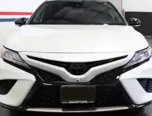 Fits 2018-2023 Toyota Camry SMOKE PreCut Tint Overlay Front Emblem Decal Vinyl - Foto 1 di 3