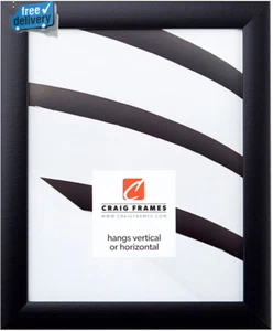 Contemporary Picture Frame, 8 X 10 Inch, Black - Picture 1 of 12