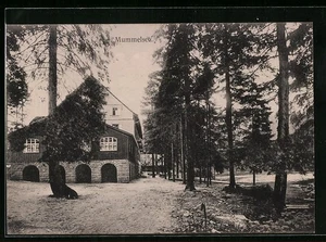 Ansichtskarte Mummelsee, Gebäudeansicht mit Bäumen 1915 - Picture 1 of 2