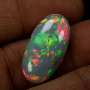 12.87 Ct Oval 25 X 13  mm Rainbow Multi Flashy Harlequin Solid Welo Opal - Picture 1 of 2