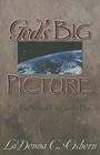 God's Big Picture: Finding Yourself in God's P- paperback, 9780879431143, Osborn