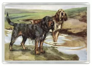 OTTERHOUND DOGS DOG ART PRINT ACRYLIC NOVELTY FRIDGE MAGNET GREAT GIFT - Picture 1 of 1