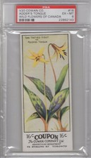 1920 Cowan Co. V20 Wild Flowers of Canada #16 Adder's Tongue Graded PSA 6