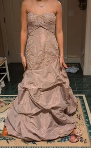 ALYCE DESIGNS Taupe Formal Prom Sequins Rhinestones Crinoline Strapless Gown EC - Picture 1 of 5