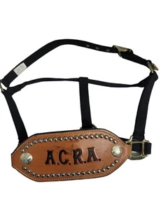 Horse Halter Fancy Tooled Leather Noseband w/ Silver Conchos A.C.R.A - Picture 1 of 4