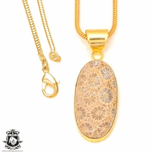 Fossilized Coral 24K Gold Plated Pendant 3mm Snake Chain GPH323 - Picture 1 of 10