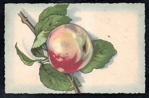 Cartolina Tematica Frutta  (CR900) - Picture 1 of 2