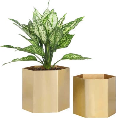 Shiny Brass Metal Indoor Planter, Succulent Cactus Pot, Vase Container, Set of 2 - Image 1 of 4