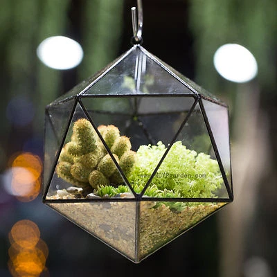 Creative Gardening Hanging Planter Glass Geometric Terrarium Flowerpot Decor - Image 1 of 4