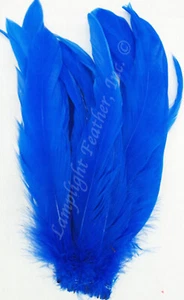 Plumas de cola de gallo Coque azul 6-8 pulgadas por onza - Imagen 1 de 3