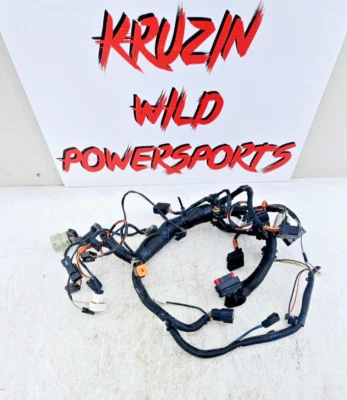 2007 Harley Davidson Electra Glide 整流蝙蝠翼互连线束 — 第 1/4 张图片