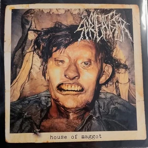 MEAT SPREADER - PUTREFACTION SETS IN split 7" EP regurgitate lymphatic phlegm ac - Foto 1 di 4