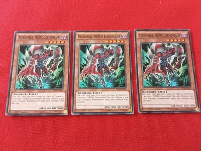 3x Necrombre Held Elementar SDHS-FR010 1. Auflage Seltene Karte Yu-Gi-Oh! FR - Bild 1 von 2