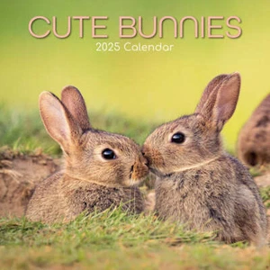 CONEJITOS LINDOS - CALENDARIO 2025 - NUEVO - 360101 - Imagen 1 de 2