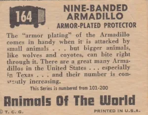 TOPPS (1951) ANIMALS OF THE WORLD - #164 Nine-Banded Armadillo - Picture 1 of 2