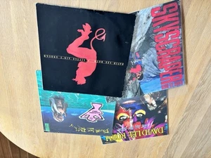 David Lee Roth Vinyl Bundle Skyscraper Eat Em And Smile Crazy From The Heat. - Picture 1 of 4