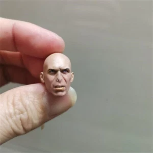 Painted 1/12 Scale The Villain Lord Voldemort Head Sculpt Fit 6" SHF Figure - Picture 1 of 3