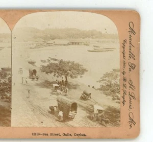 Sea Street Galle Ceylon Keystone Stereoview - Picture 1 of 3